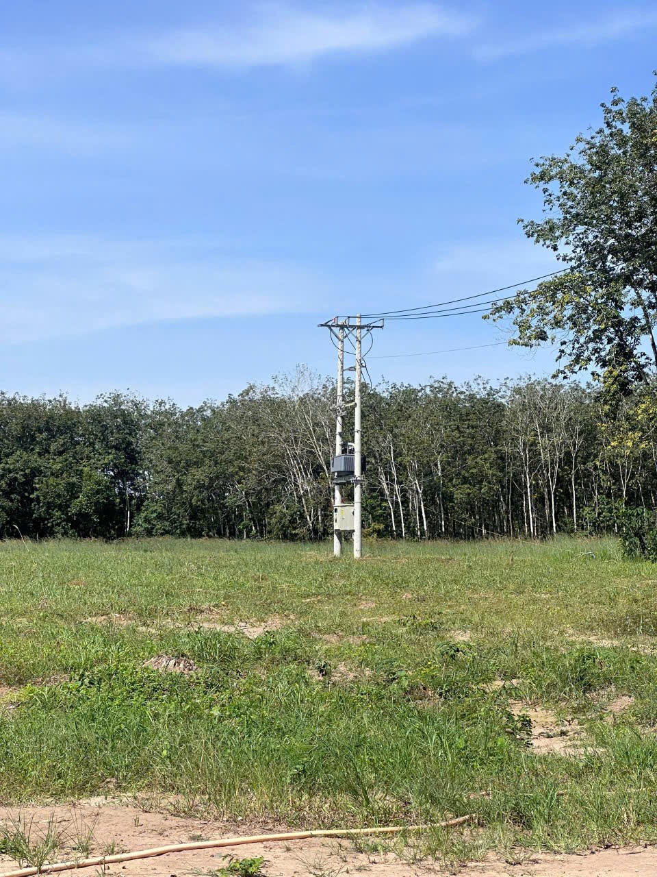 gen-h-z7289552367746_c057c0d7554df9ca8e10634fd7b37198