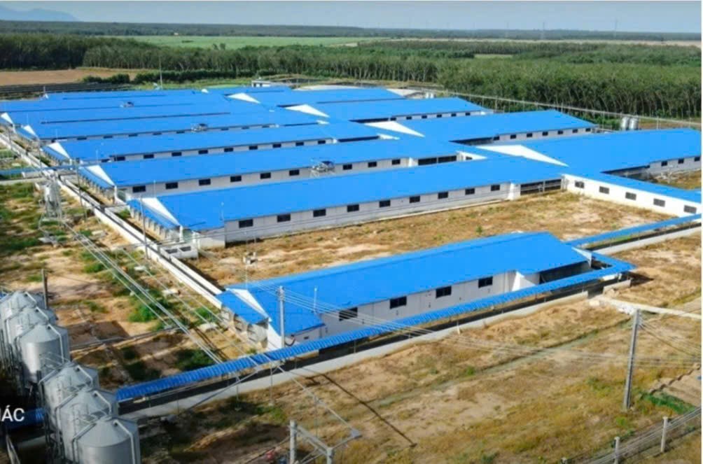 gen-n-z7283471040990_bb06d17ed56baa46a589487e9da0cca1